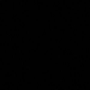 Meet your Posher, Oscar